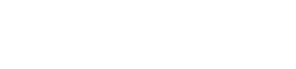 Future Leaders in Transport logo white